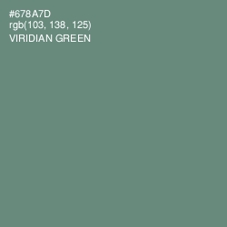#678A7D - Viridian Green Color Image